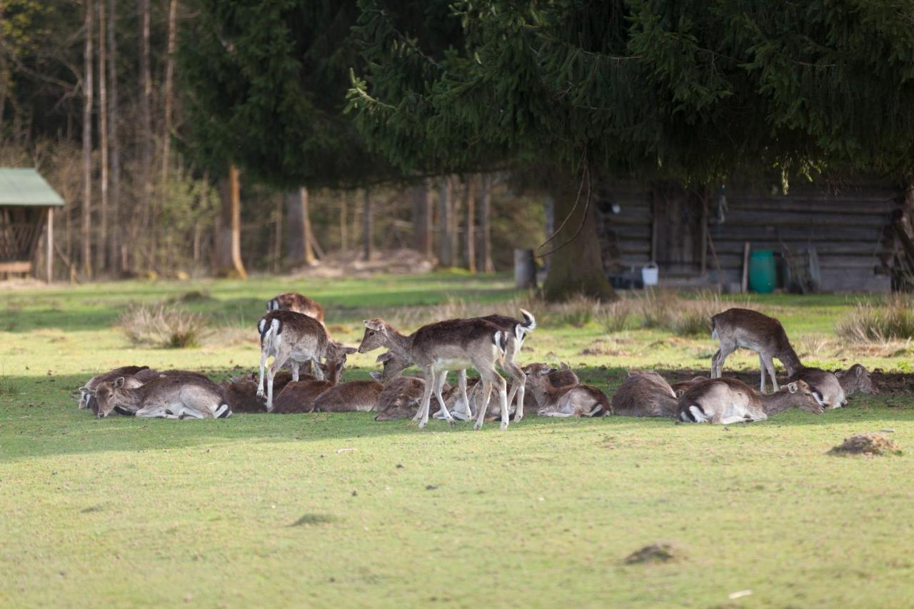 Forsthaus Woernbrunn Hotel Grünwald Kültér fotó